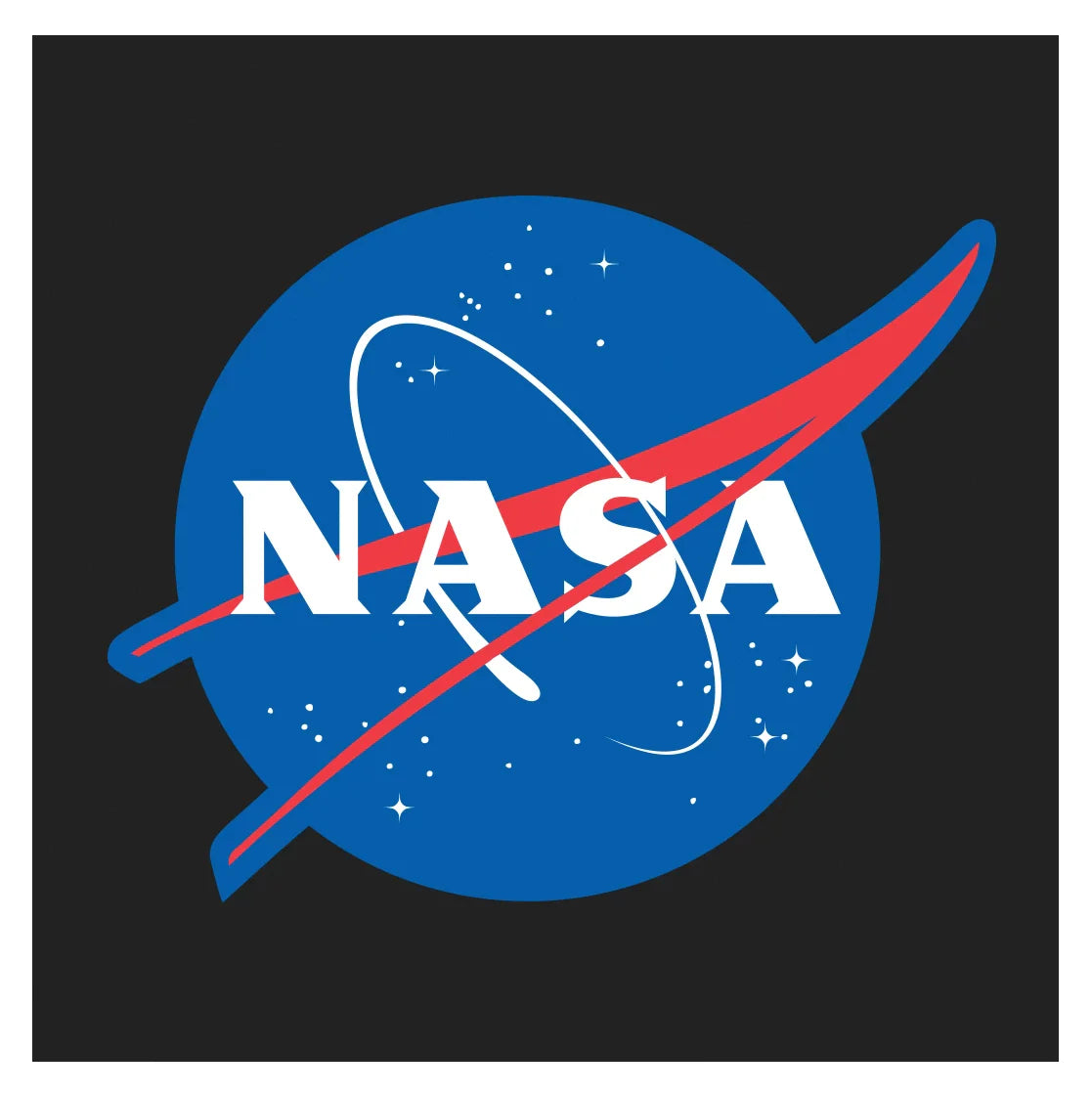 Authentic Nasa Logo Shirt