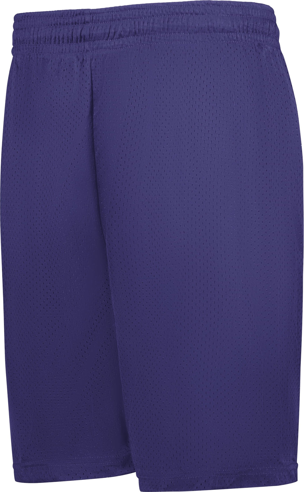 BA PURPLE MESH/TRICOT SHORT