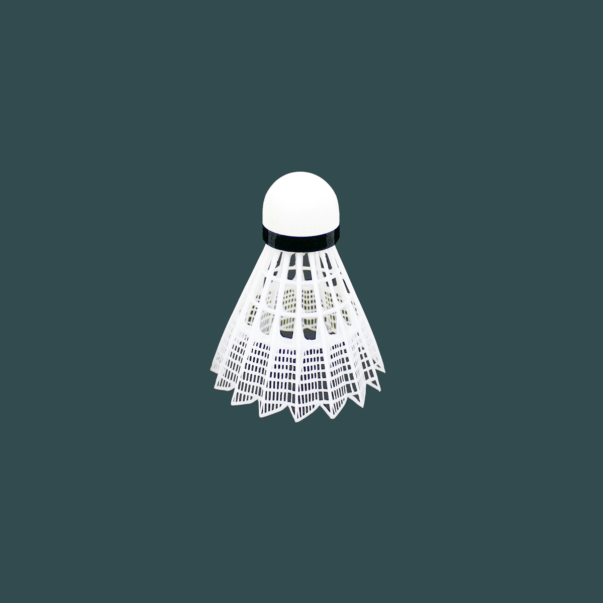 Baden Sports Badminton Birdy