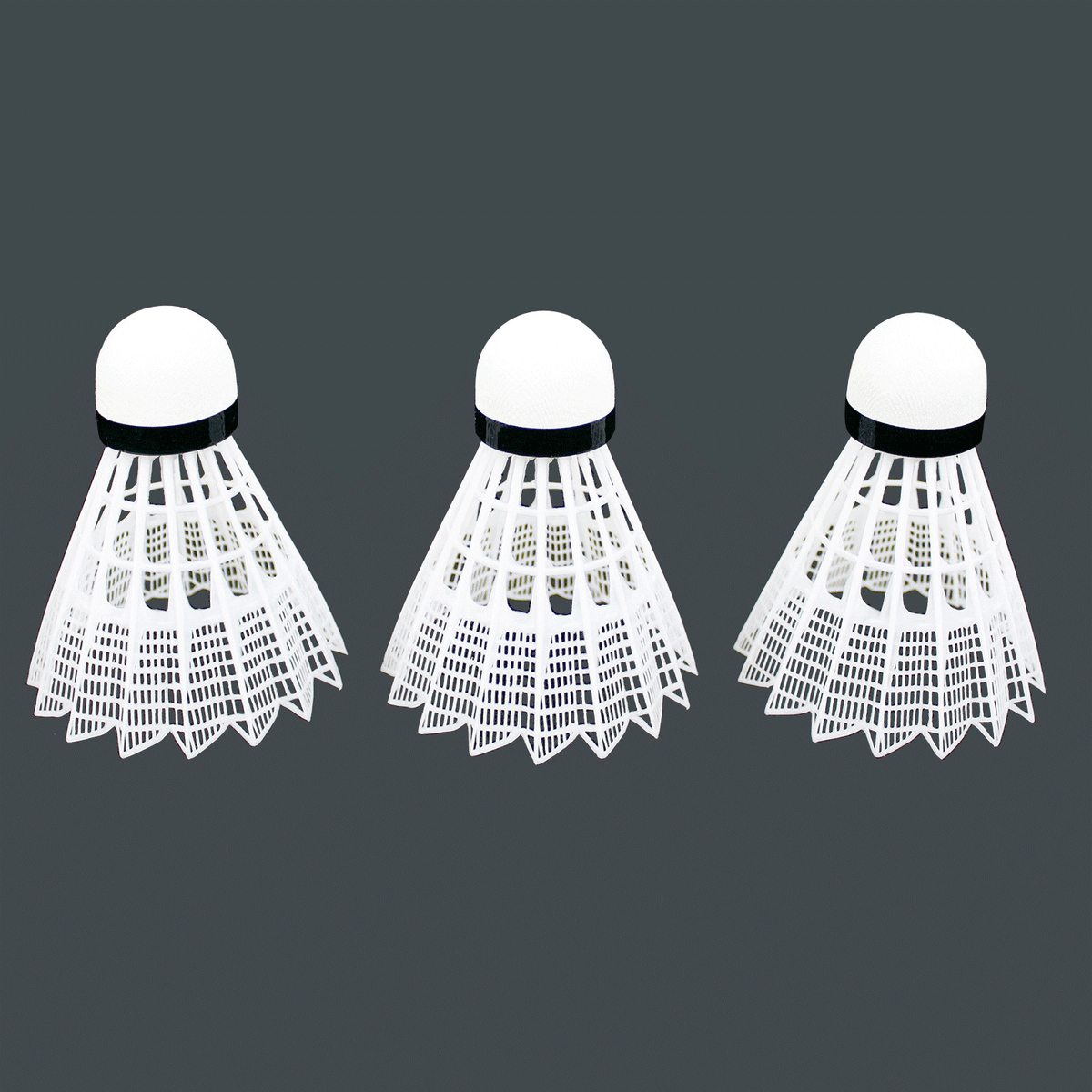 Baden Sports Champions Badminton Set