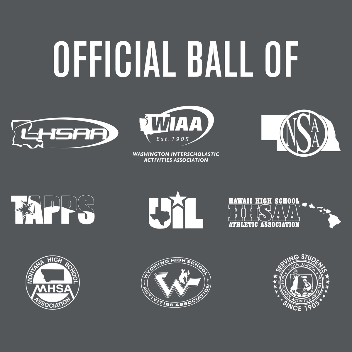 Baden Sports Elite Pro Official Game Basketball