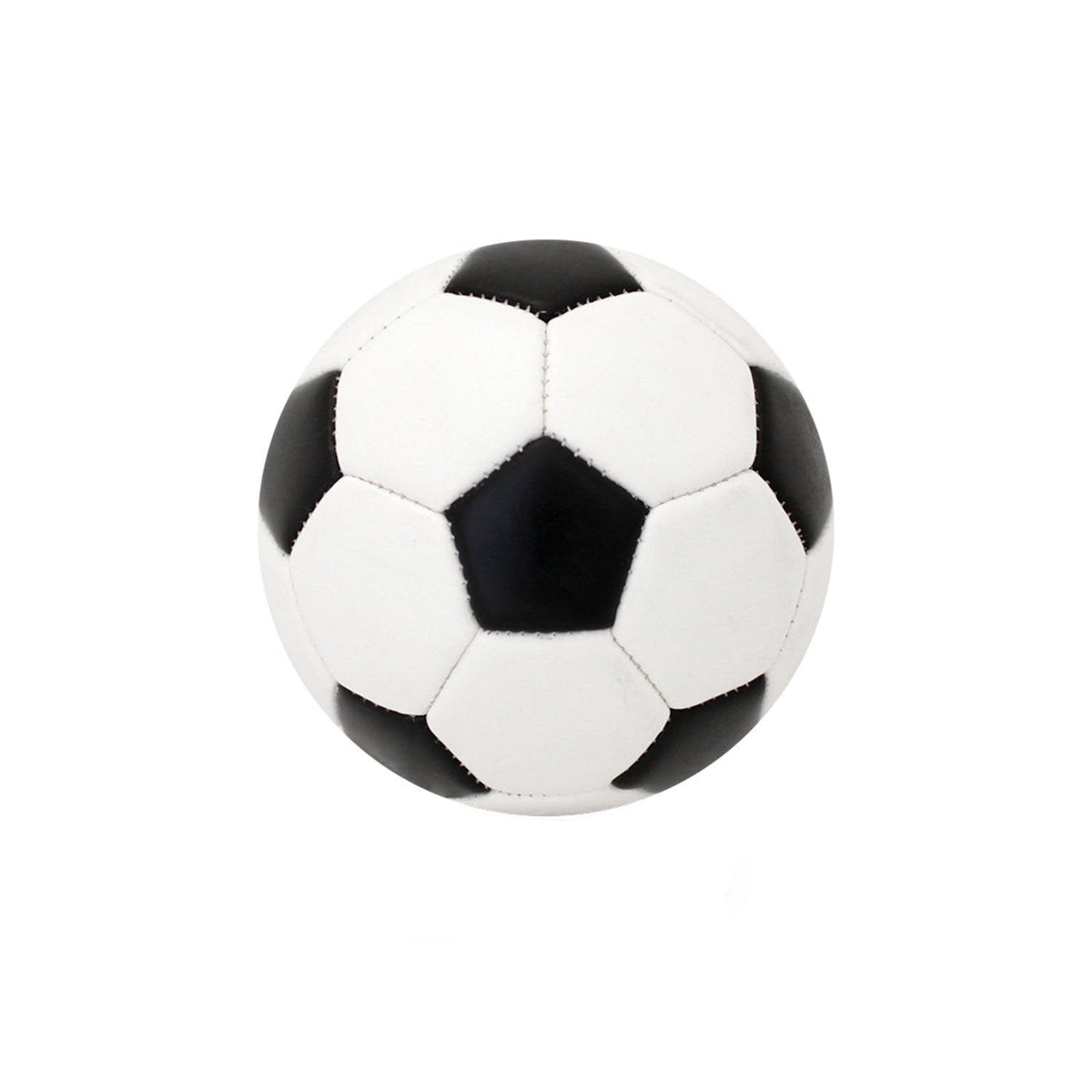 Baden Sports Mini Autograph Soccer Ball - Large Panel