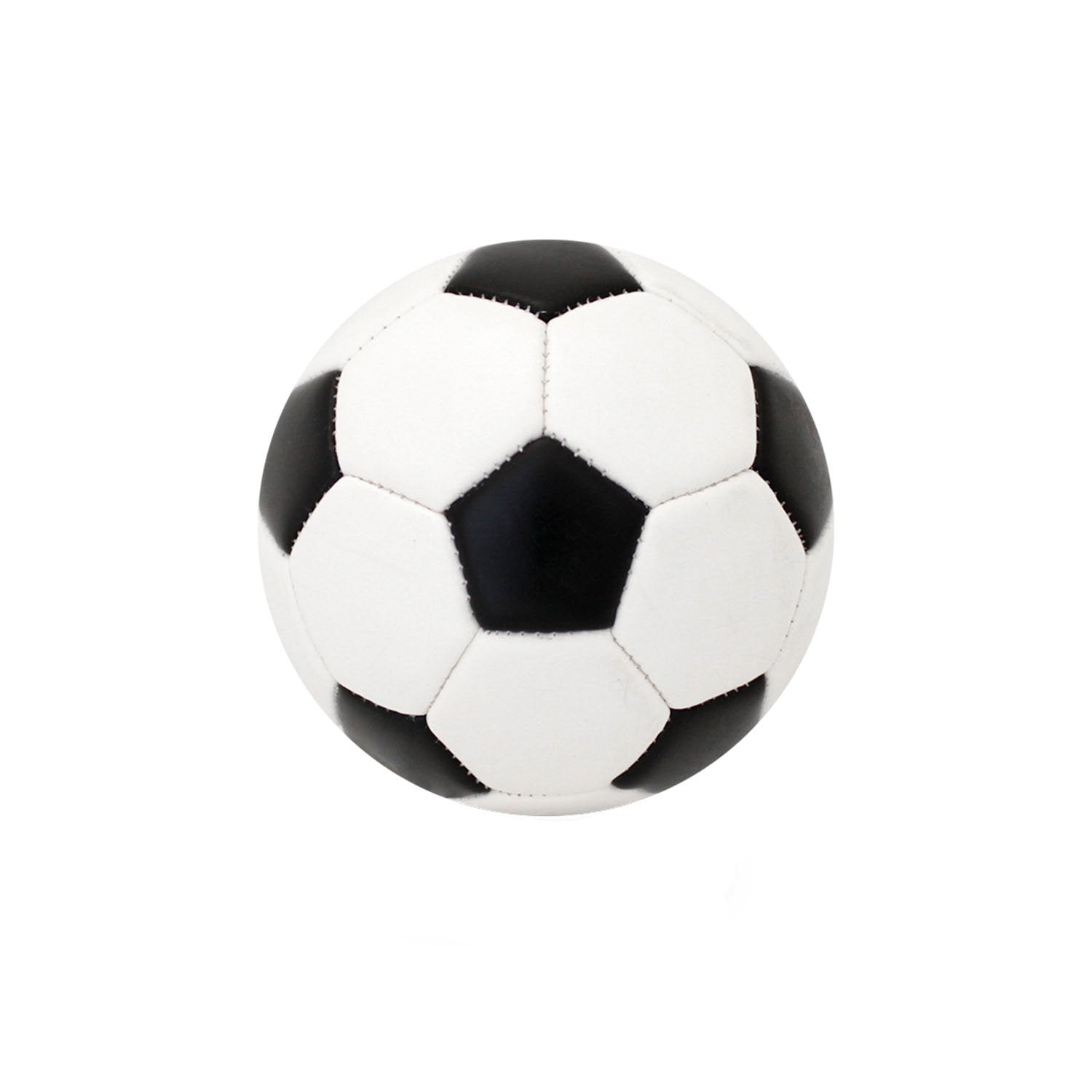Baden Sports Mini Autograph Soccer Ball - Large Panel