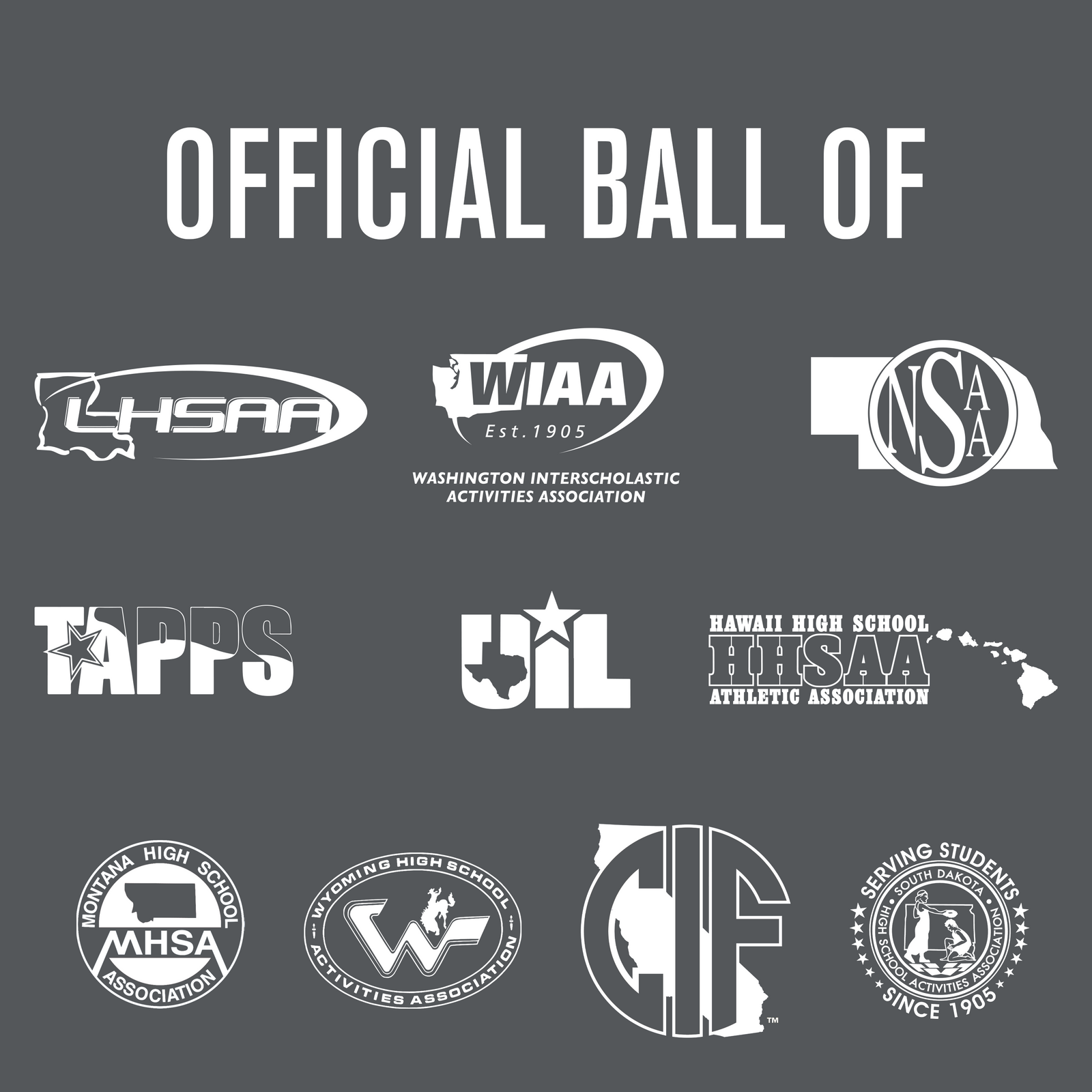 Baden Sports Perfection Thermo Soccer Ball