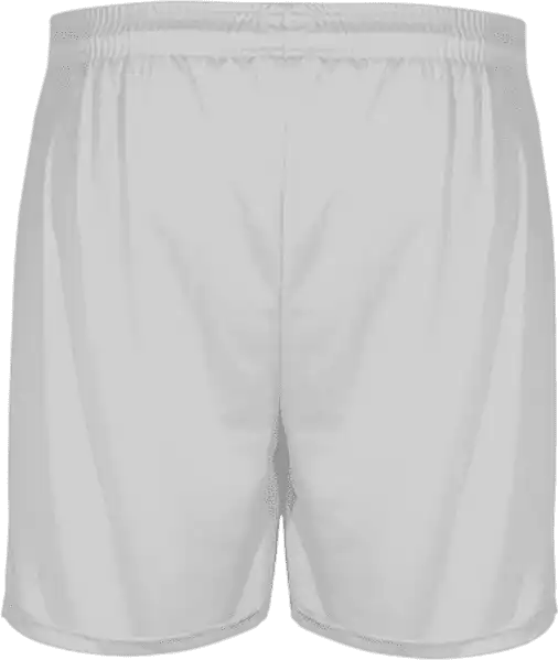 Badger Sport 414600 b Core Pocketed 5’’ Short Silver