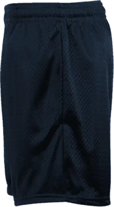 Badger Sport 722500 Mesh Tricot 5’’ Short Navy