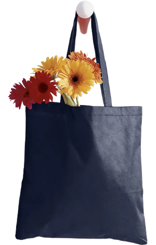 Bagedge Be003 Canvas Tote - Navy