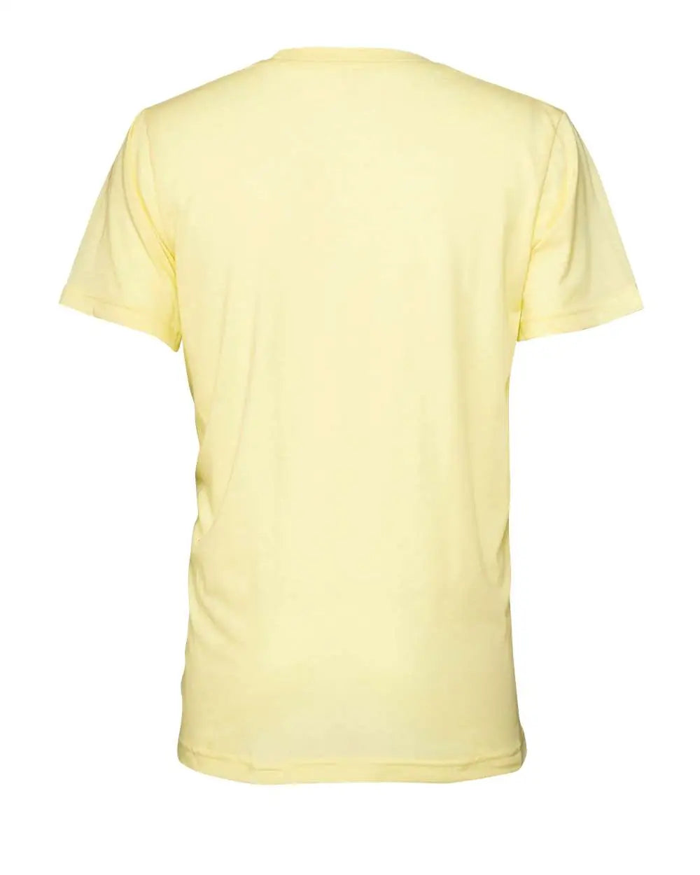 Bella + Canvas 3413 Triblend Tee - Pale Yellow
