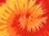 Blaze Youth Multi-Color Tie-Dyed T-Shirt - 1000Y  grouped