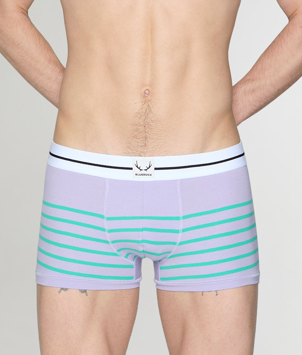 Bluebuck Nautical 25 Trunk - Lavander/mint / Small