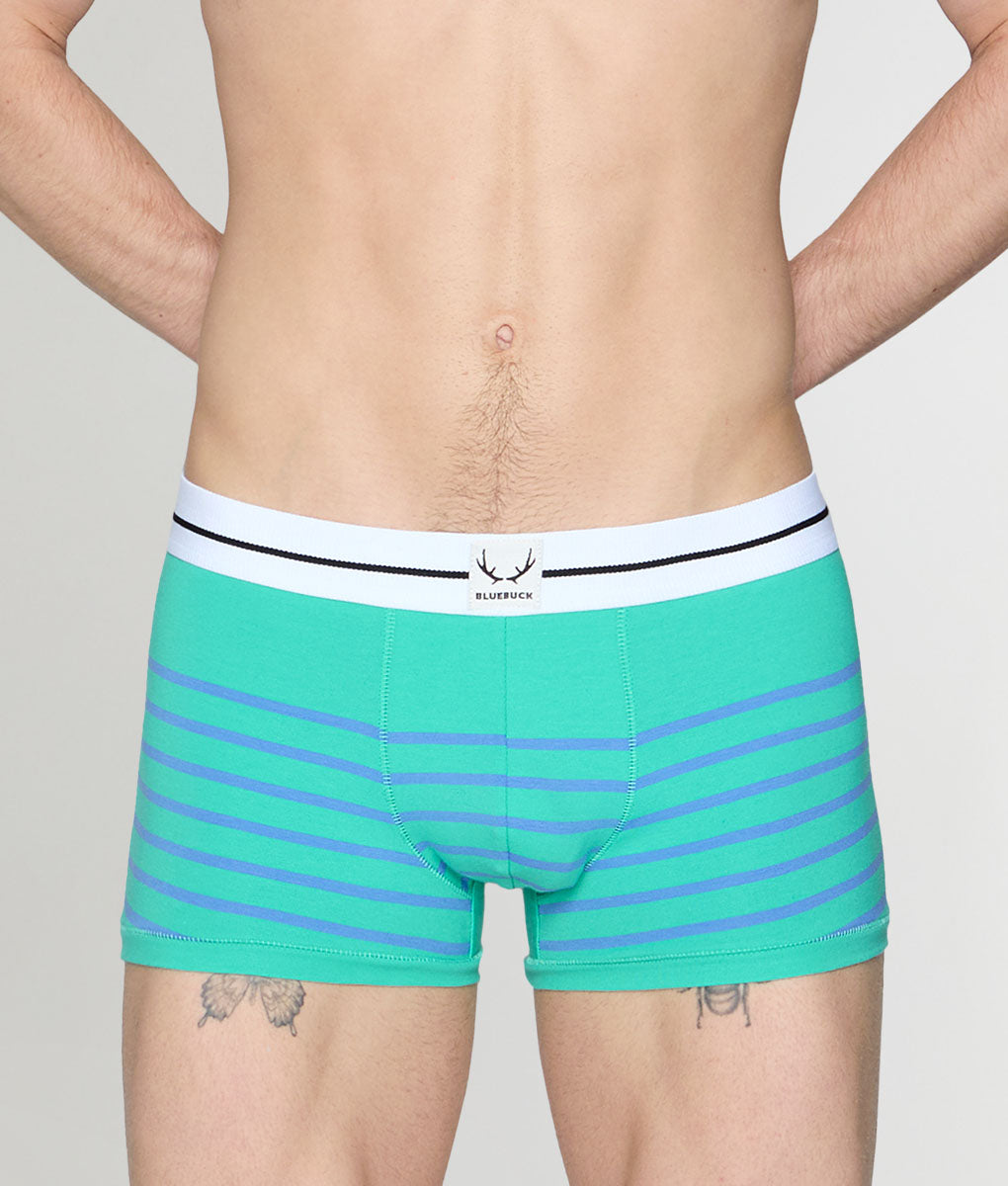 Bluebuck Nautical 25 Trunk - Mint Leaf/blue Yonder Stripes / Small