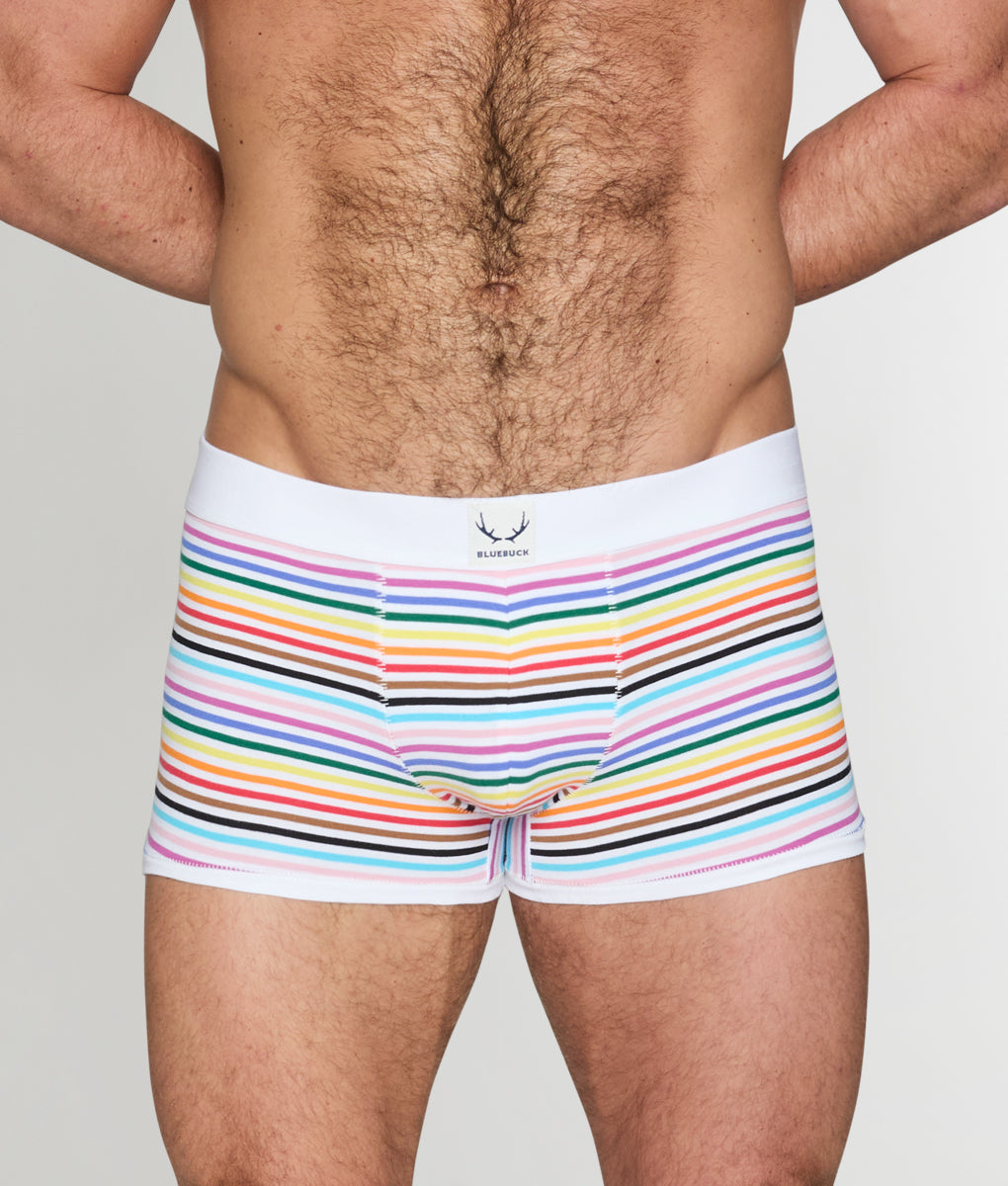 Bluebuck Pride Stripe Trunk - Small