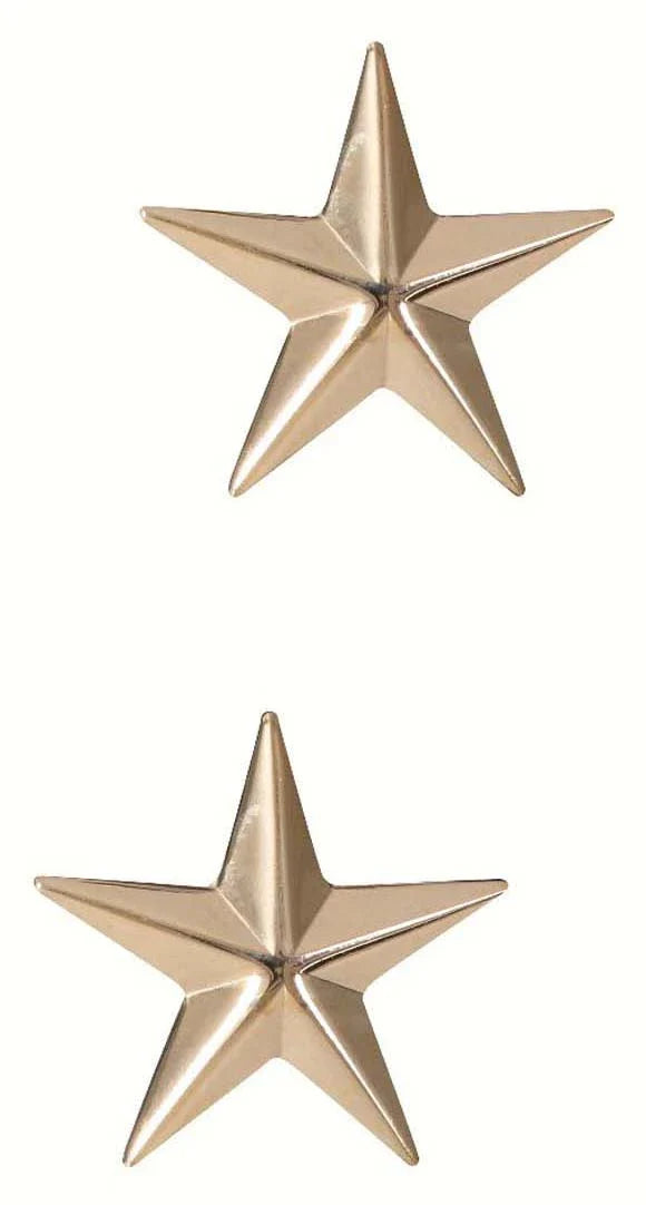Brigadier General Insignia Stars - Silver