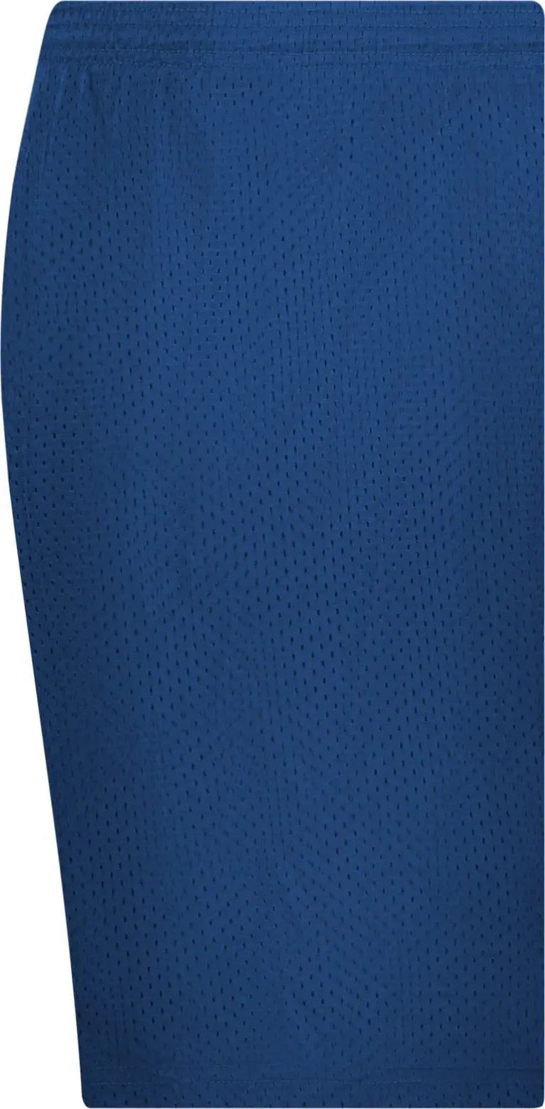 C2 Sport 510900 Mesh Short 9’’ - Royal