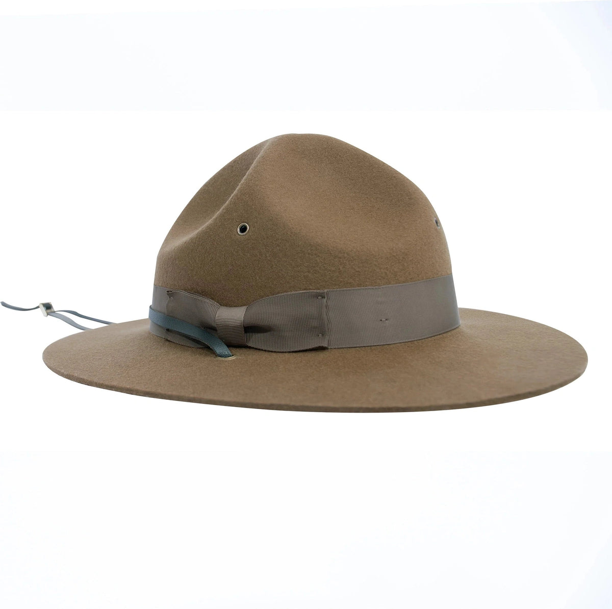 Campaign Hat