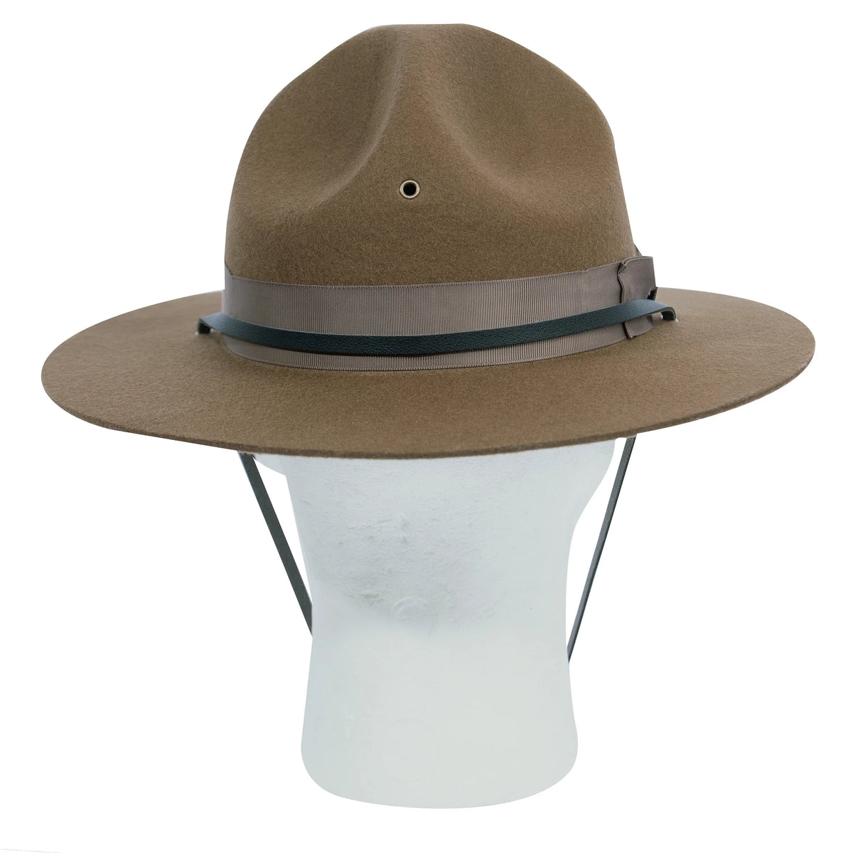 Campaign Hat
