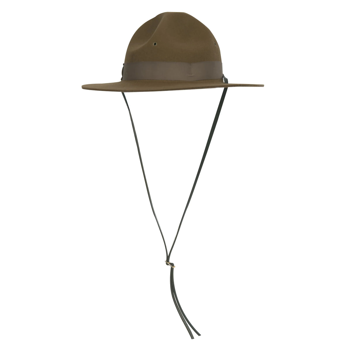 Campaign Hat