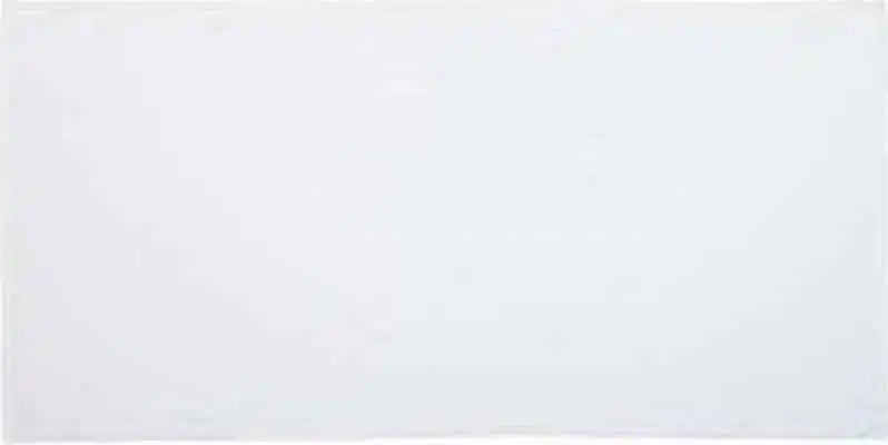 Carmel Towel Company C3060 Velour Beach - White - one Size Fits Most
