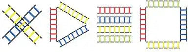 Champion Sports Aglclr Sectioned Agility Ladder - Ea