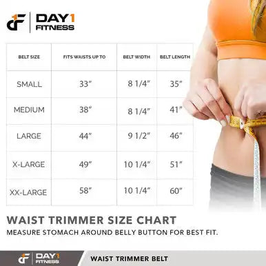 Champion Sports D1-wtb Waist Trimmer Belt - Ea
