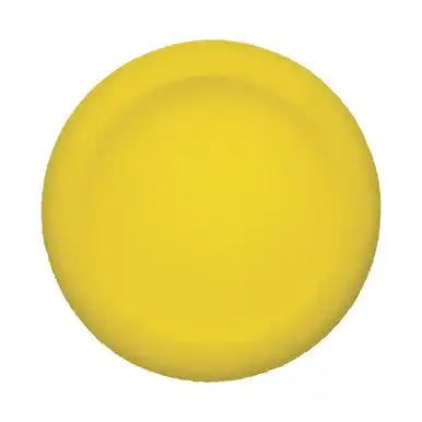 Champion Sports Fdset Rounded Edge Uncoated Foam Disc - Set