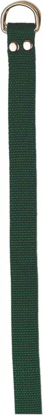 Champion Sports Ffb3 Football Belt - Ea - Dark Green