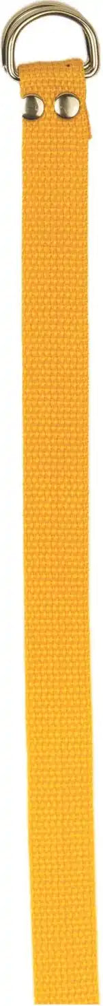 Champion Sports Ffb3 Football Belt - Ea - Gold