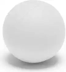 Champion Sports Pl Sponge Lacrosse Balls - Doz