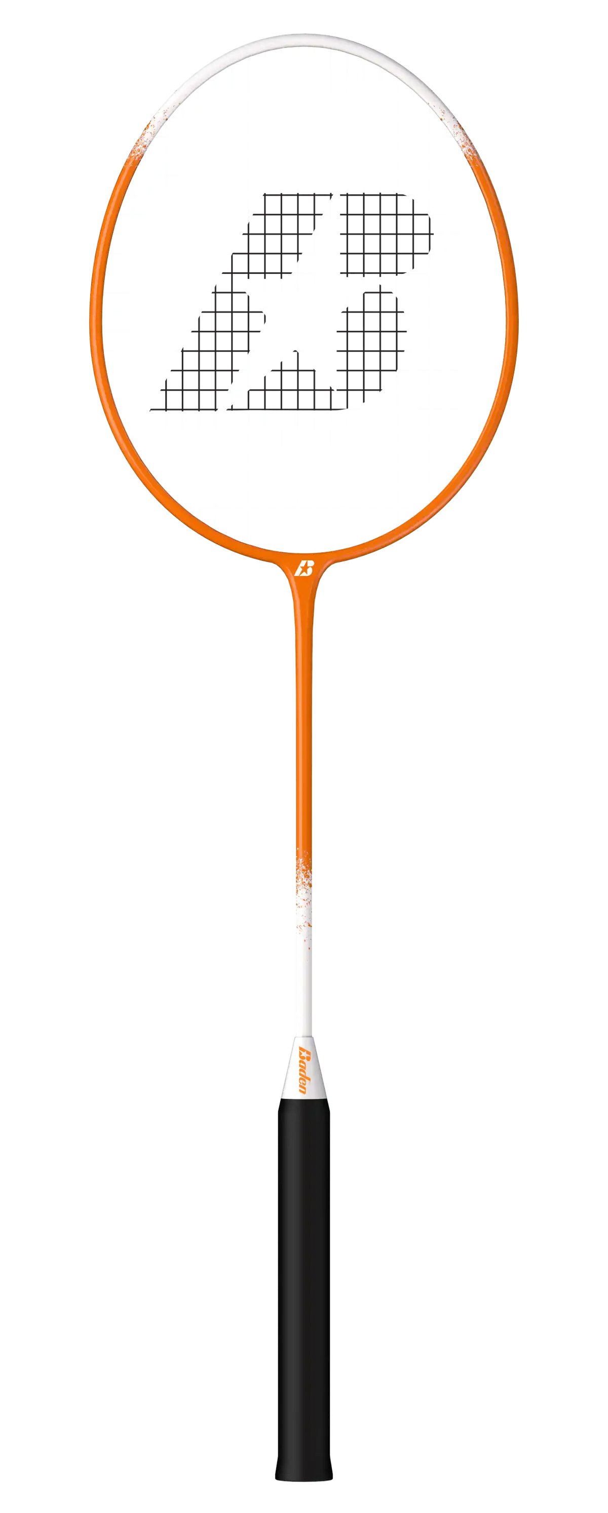 Champions Volleyball &amp; Badminton Racket