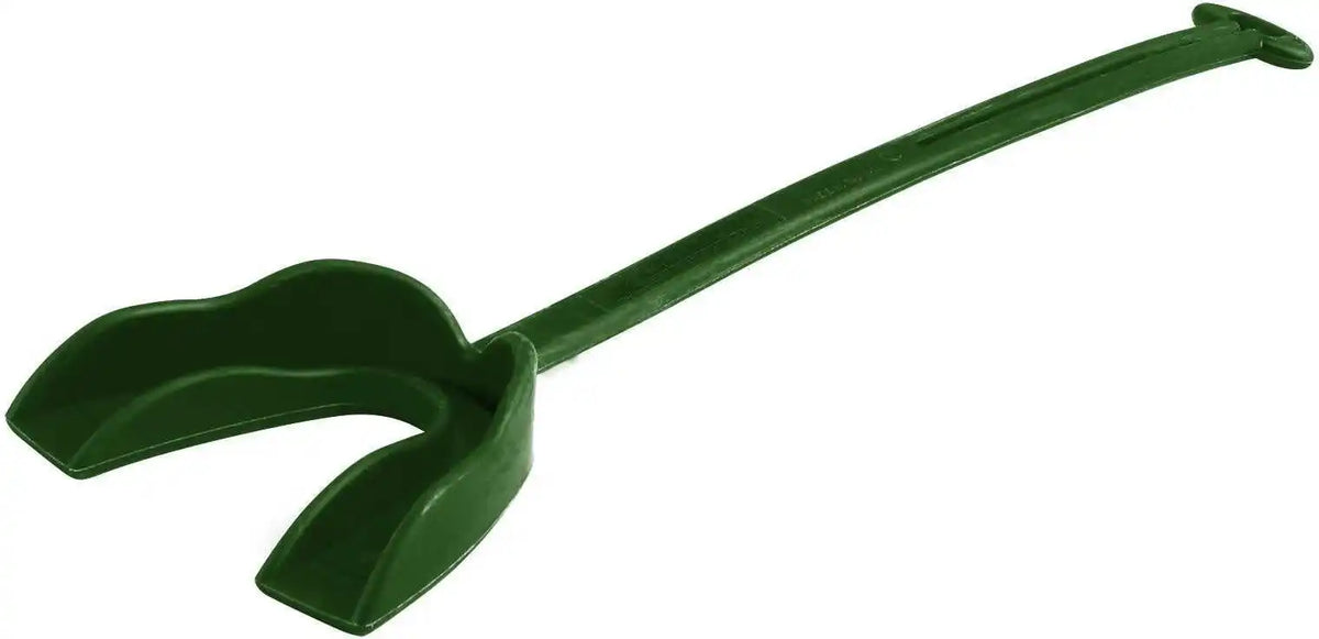 Champro Af53 Mouthguard with Strapstrap (50 Pk) Forest Green
