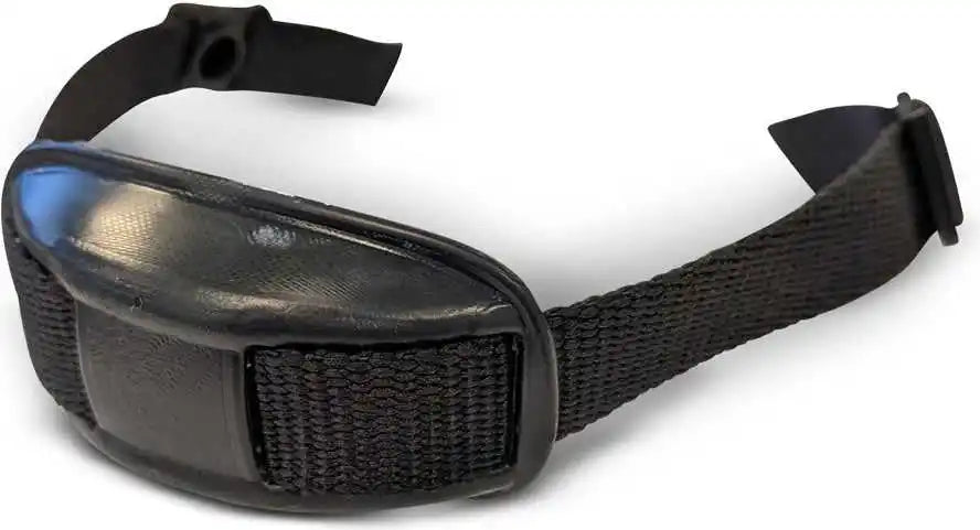 Champro Hxcs Hx Helmet Chin Strap with Cup 12 Pack - Black