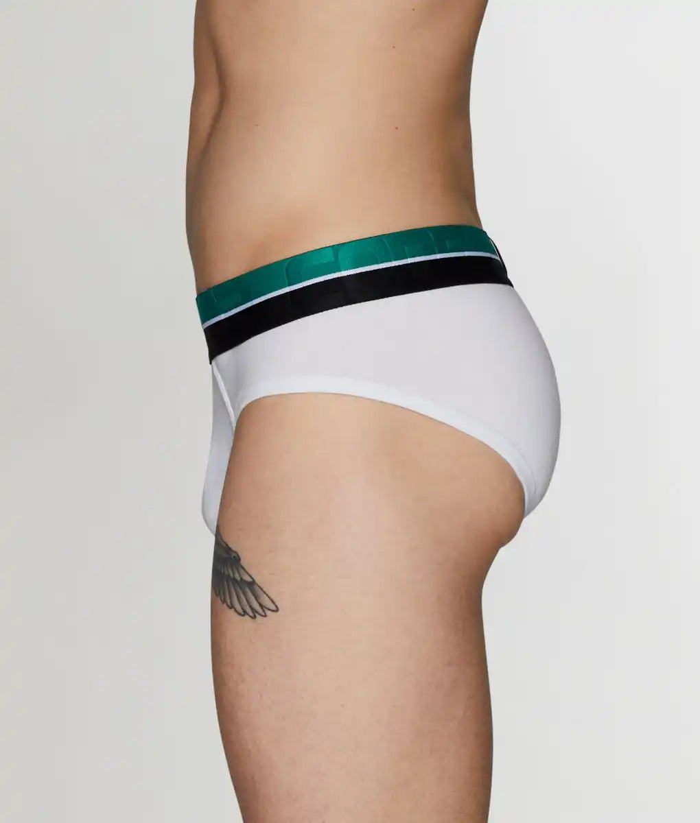 Code 22 Palm Tree Brief