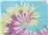 Colortone 8777y Youth Tie-dyed Hooded Sweatshirt - Jellybean - Xs