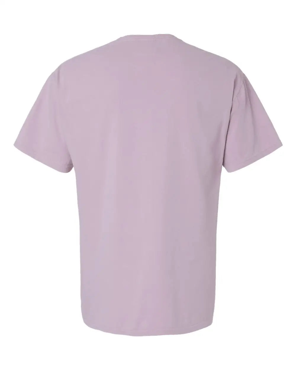 Comfortwash by Hanes Gdh11b Botanical Dyed T-shirt - Nimbus