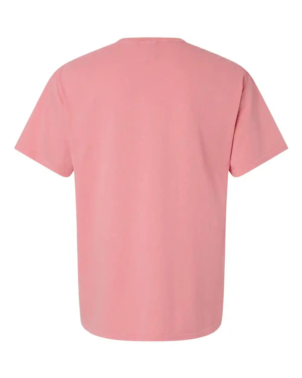Comfortwash by Hanes Gdh11b Botanical Dyed T-shirt - Rubia - Xs