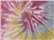 Desert Rose Tie-Dyed Fleece Crewneck Sweatshirt - 8100  grouped