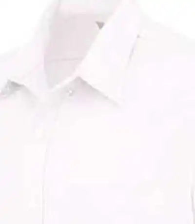 Dickies Sss46 Short Sleeve Oxford Shirt White