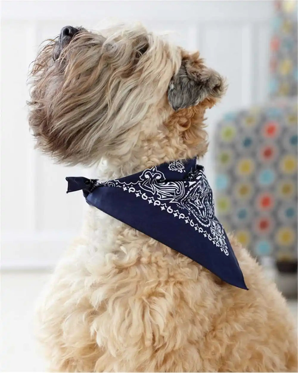Doggie Skins 3905 Usa-made Bandana - Navy - one Size Fits Most