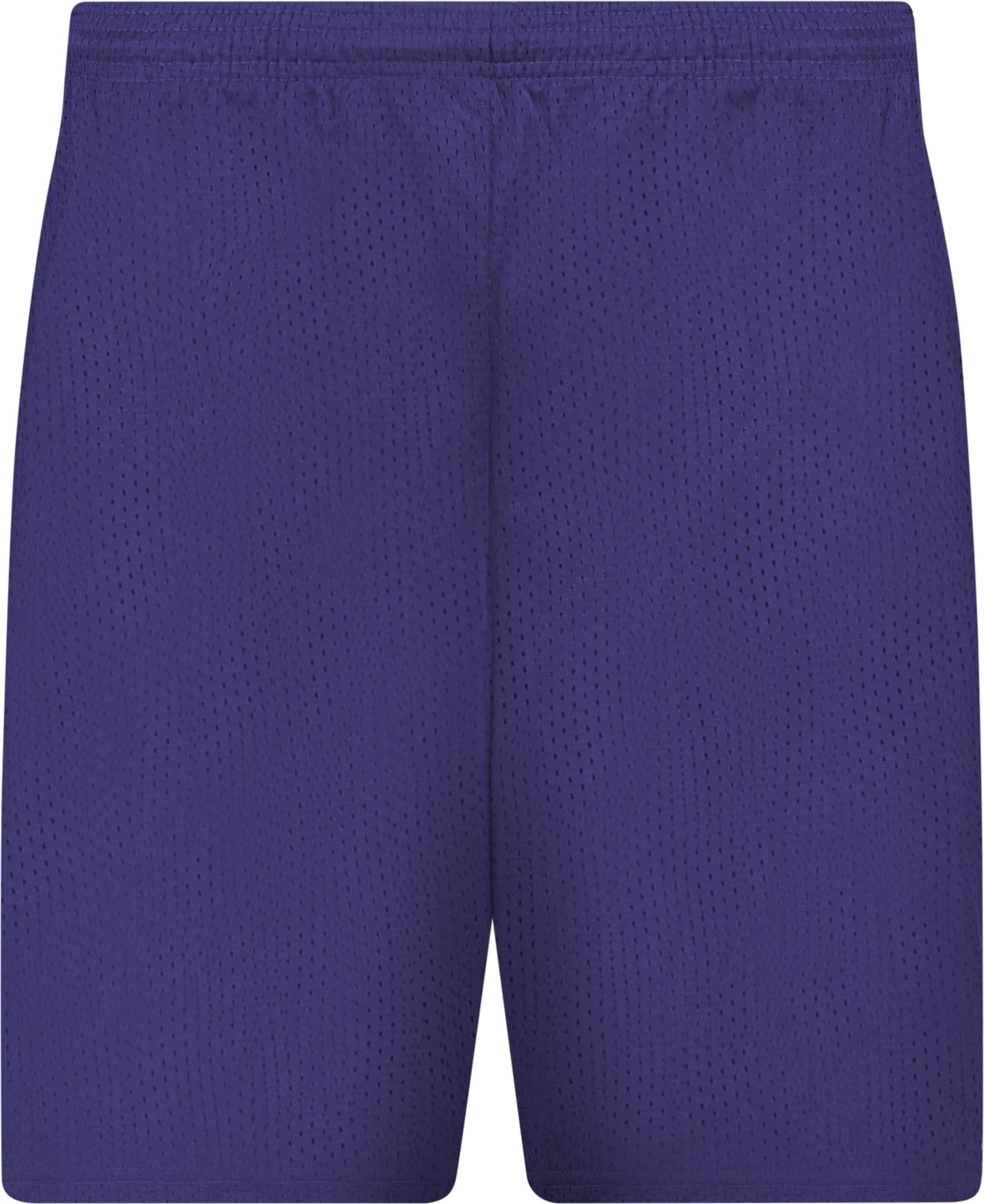 BA PURPLE C2 MESH SHORT 9""