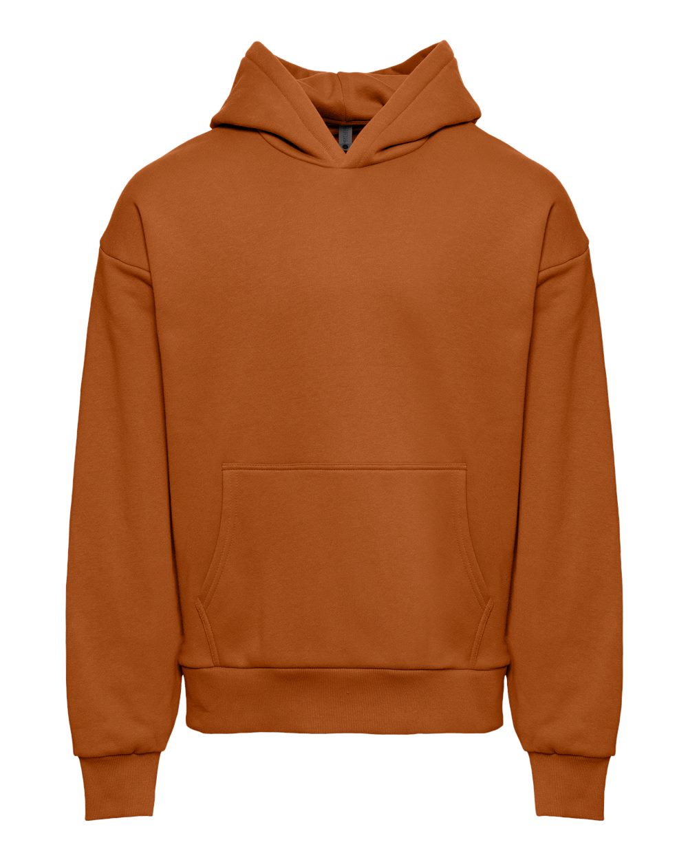 Front View of Clay Heavyweight Fleece Hoodie - 9307