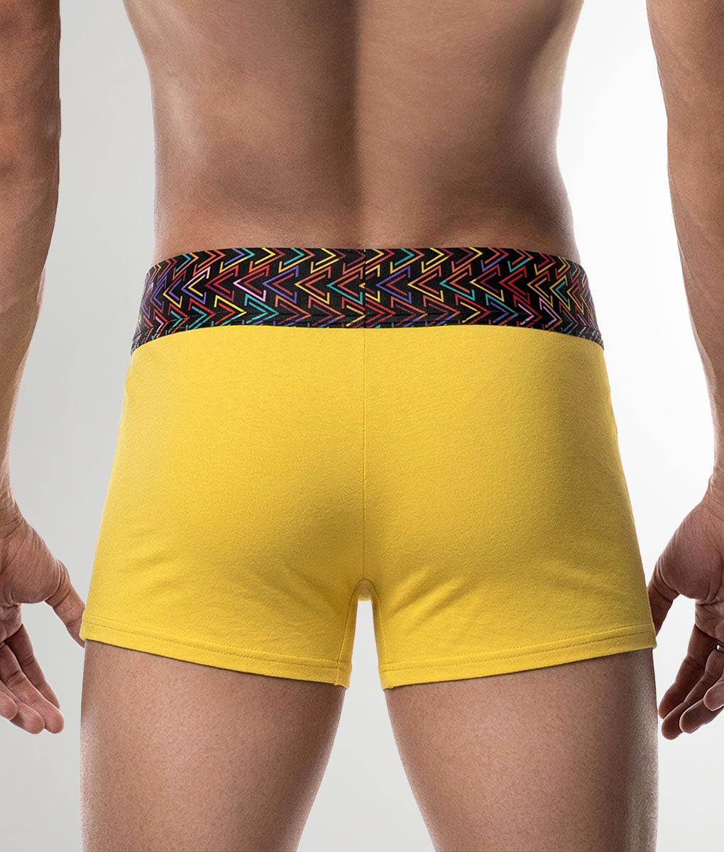 Geronimo Vibe Trunk