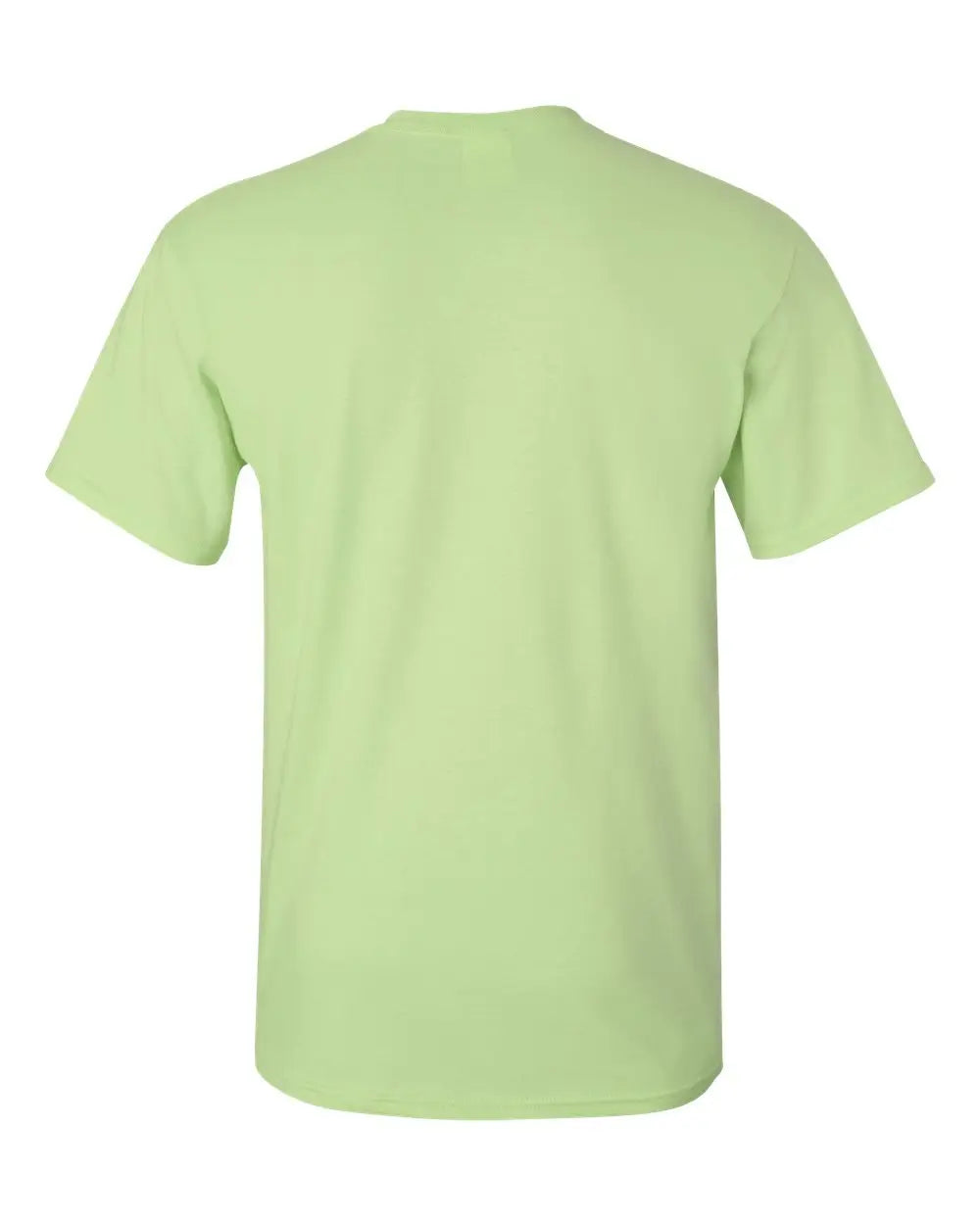 Gildan 2000 Ultra Cotton® T-shirt - Pistachio - Green / s