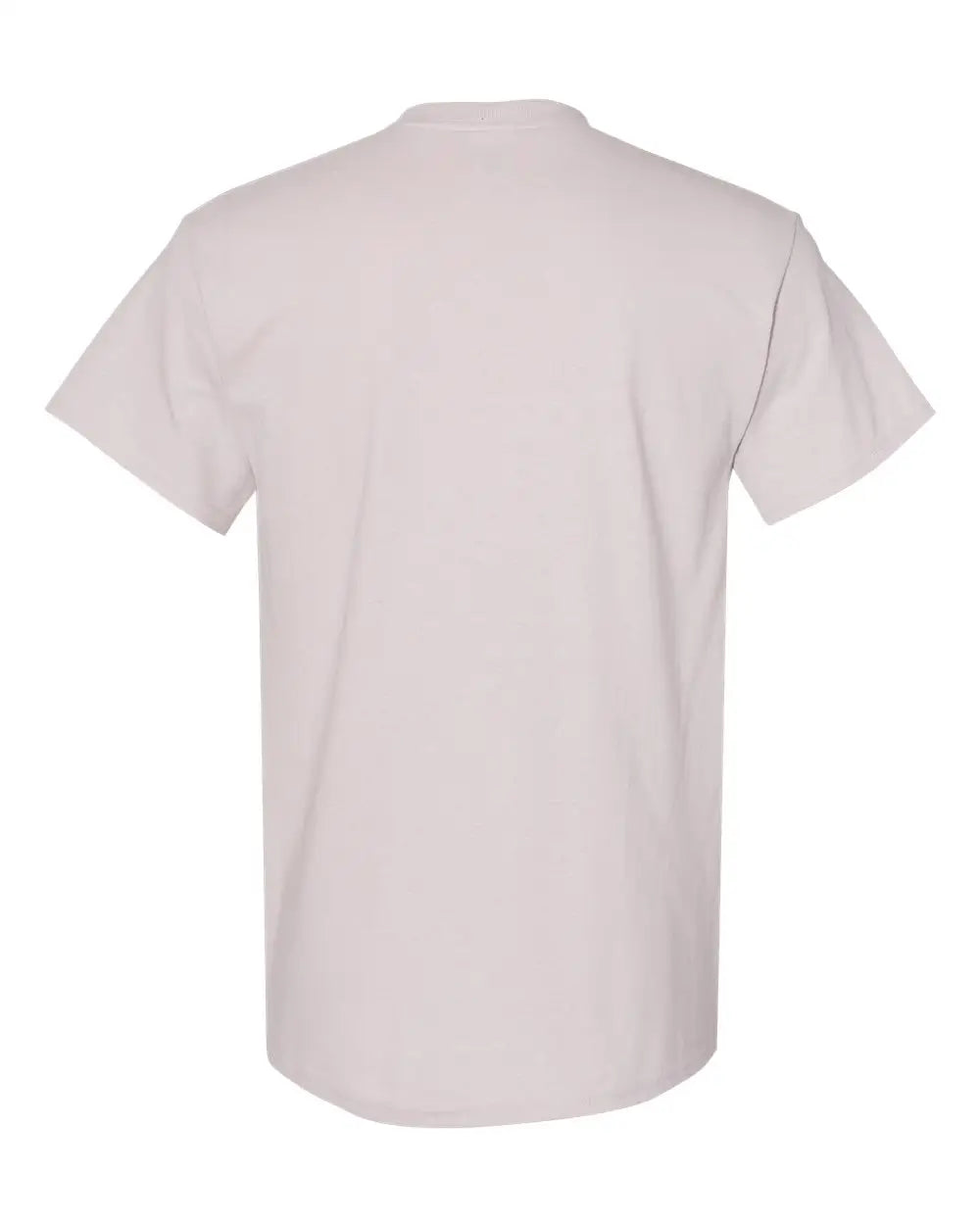 Gildan 5000 Heavy Cottonâ„¢ T-shirt - Ice Grey