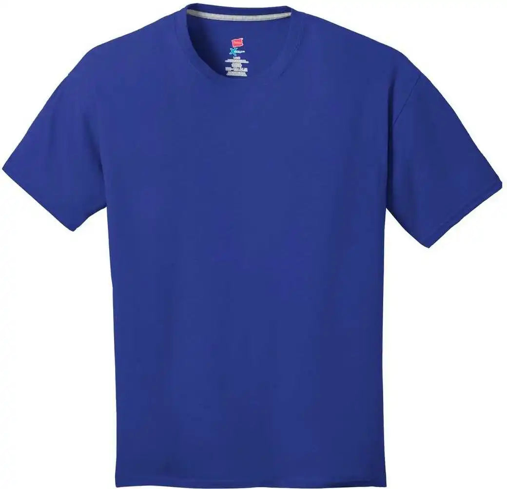 Hanes 4200 X-temp T-shirt - Deep Royal