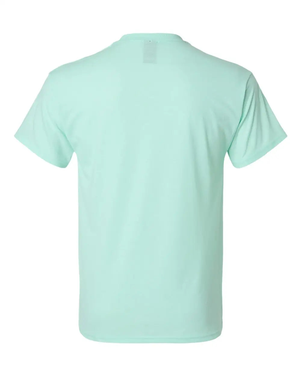 Hanes 42tb Perfect-t Triblend T-shirt - Ice Fall Heather