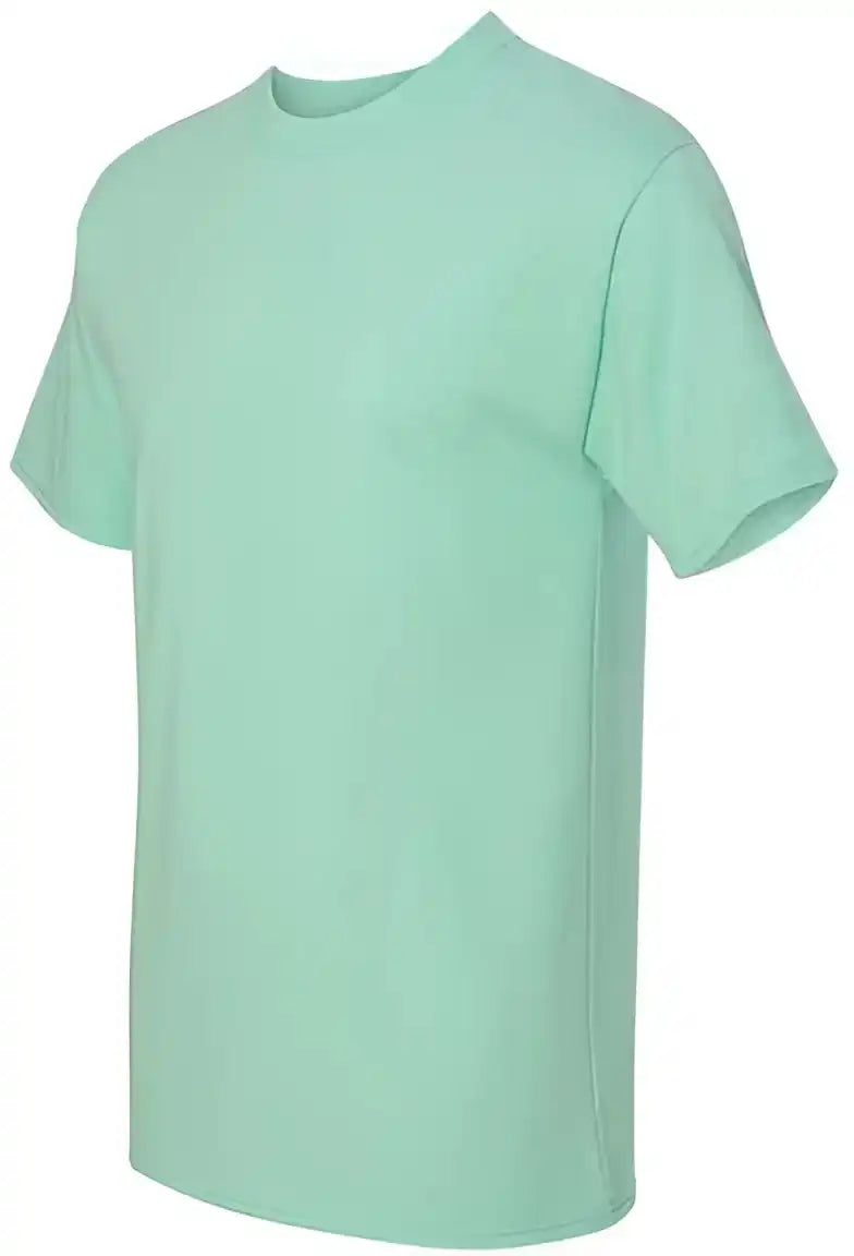 Hanes 5180 Beefy t Short Sleeve Shirt Clean Mint