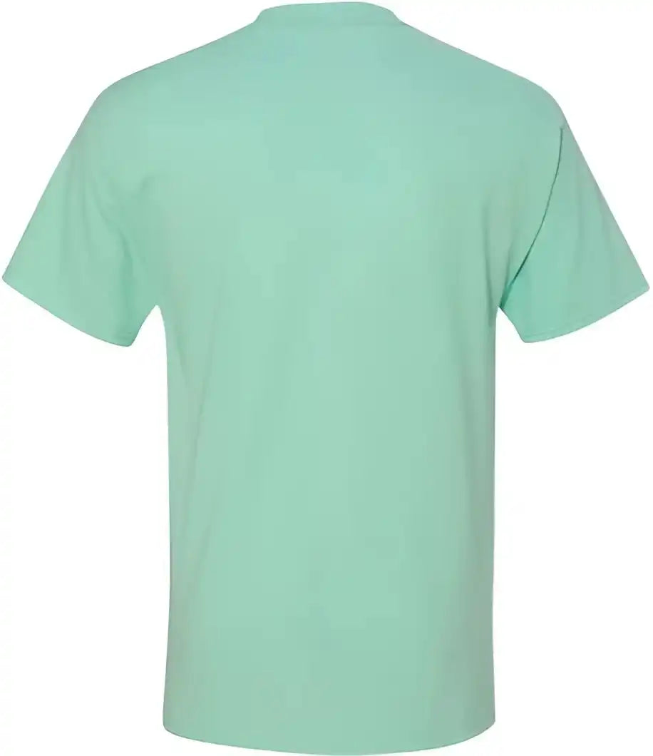 Hanes 5180 Beefy t Short Sleeve Shirt Clean Mint
