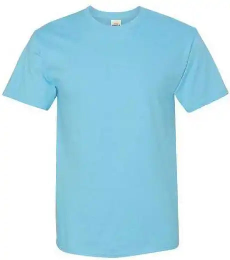 Hanes 5250 Authentic Short Sleeve t Shirt Blue Horizon