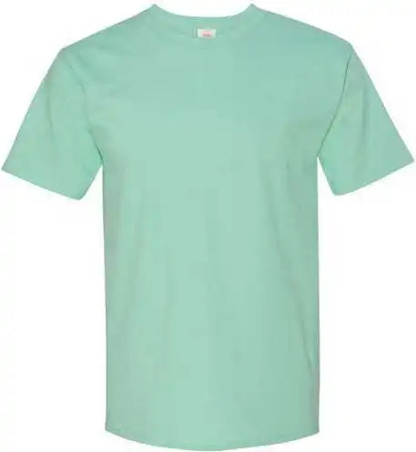 Hanes 5250 Authentic Short Sleeve t Shirt Clean Mint