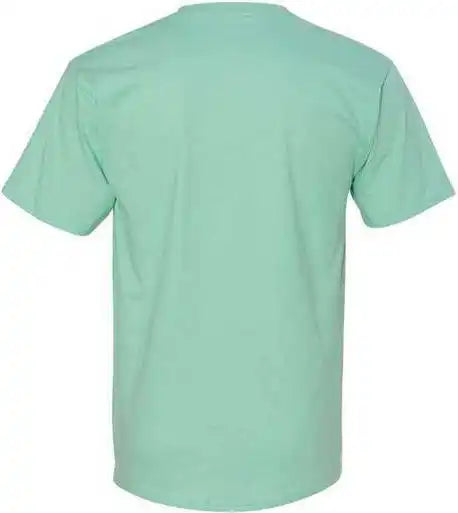 Hanes 5250 Authentic Short Sleeve t Shirt Clean Mint
